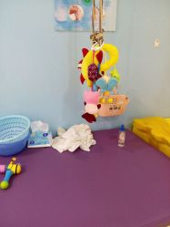 -雏芽婴幼儿游泳·小美医生小儿推拿(西村店)