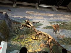 -自贡恐龙博物馆