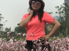 -府河摄影公园