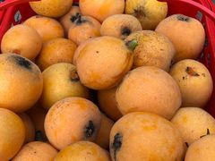 -塘栖枇杷特色园区