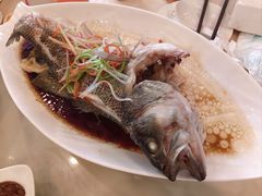 清蒸鲈鱼-北京小肠陈饭庄(方庄店)