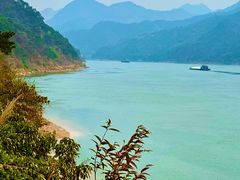 -羚羊峡古栈道森林公园