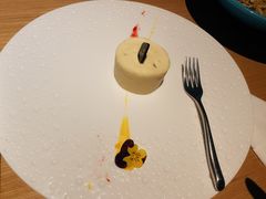 -梧桐