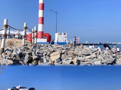 -巧克力渔家.小船海鲜胶东菜(万平口店)