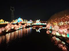 -淄博花灯齐彩城