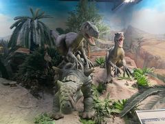 -国家自然博物馆