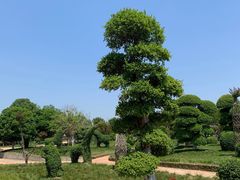 -武汉紫薇都市田园