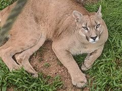 -西霞口神雕山野生动物世界