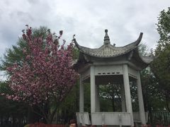 -四明山国家森林公园