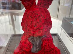 -ROSEONLY诺誓(广州K11店)