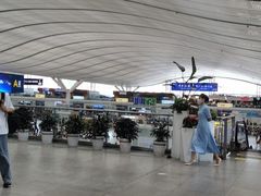 -麦当劳(深圳北站高铁店)