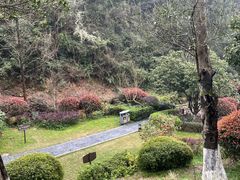 -桃花岭景区