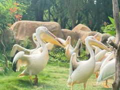 -常州淹城野生动物世界