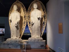 -青岛市博物馆