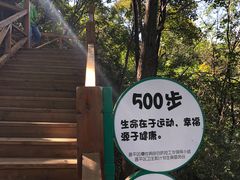 -大岭沟猕猴桃谷风景区