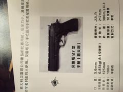 -真枪会射击俱乐部(河西中央公园店)