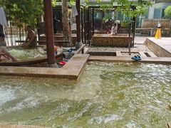 -春晖园度假酒店温泉