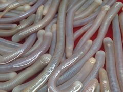 -南沙十九涌渔人码头-南门