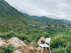-杨梅坑