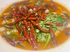 -清水亭湖北菜(大屯DT51店)