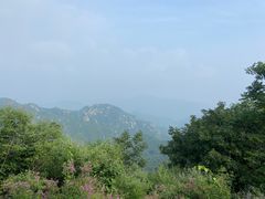 -大岭沟猕猴桃谷风景区