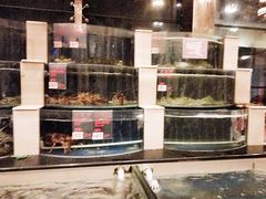 水产区-东方之珠海鲜酒楼(南开店)