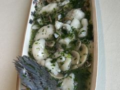 -蝶园·装修中(BFC外滩金融中心店)