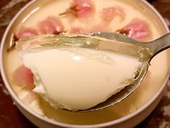 樱花冻芝士蛋糕-亦家cake·0卡糖