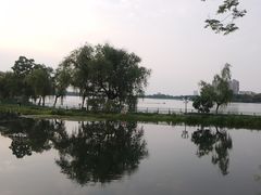 -金银湖国家城市湿地公园