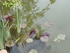 -山东省千佛山医院