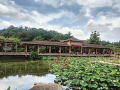 -广州莲花山旅游区