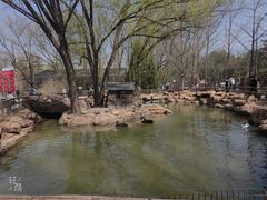 -北京世界公园