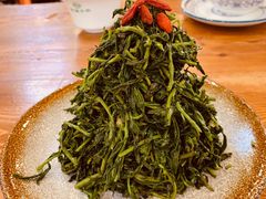 清香枸杞苗-国强手抓(北京西路店)