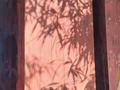 -白佛山景区