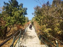 -香山公园
