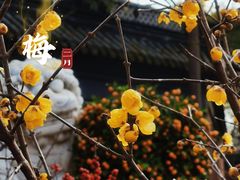 -钱王祠