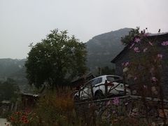 -快活林烧烤(红新路店)