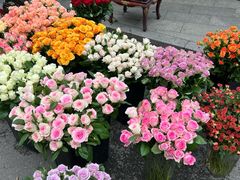 -循礼门鲜花花市(武汉循礼门店)