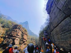 -云台山风景名胜区