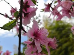 -苏州河梦清园环保主题公园