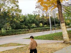 -肯德基(蓝谷地DT店)