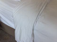 -上海静安洲际酒店