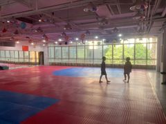 -陈中跆拳道(中关村馆)