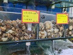 -蚝专家(北滘店)