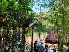 -九曲溪竹筏码头