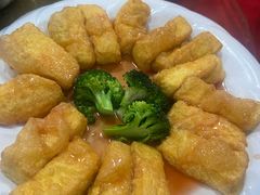 -水上鱼当家