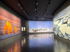 -罗红摄影艺术馆