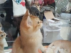 -鹏欣水游城