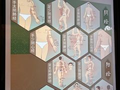 -广东中医药博物馆