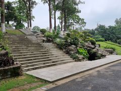 -广西壮族自治区药用植物园